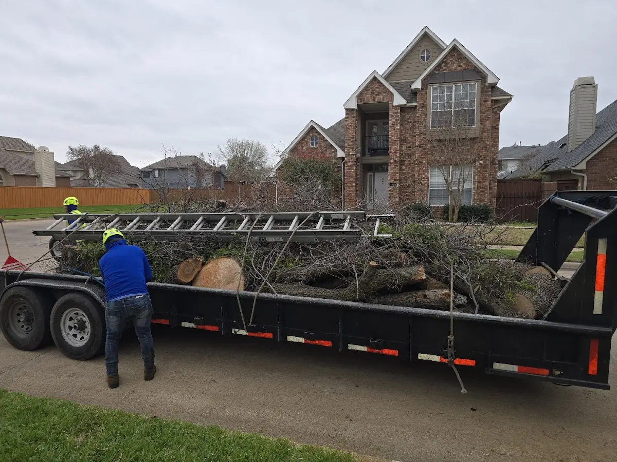 Expert Lot Clearing with proper safety equipment in Elba